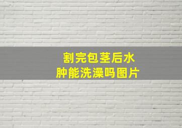 割完包茎后水肿能洗澡吗图片