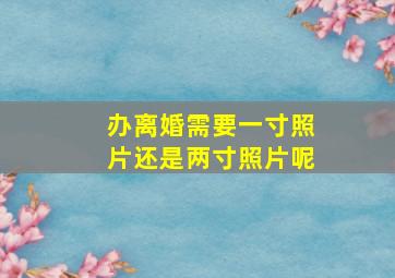 办离婚需要一寸照片还是两寸照片呢