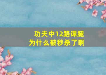 功夫中12路谭腿为什么被秒杀了啊