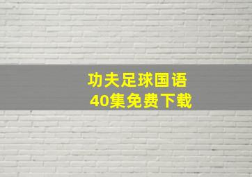 功夫足球国语40集免费下载