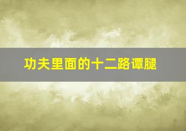 功夫里面的十二路谭腿