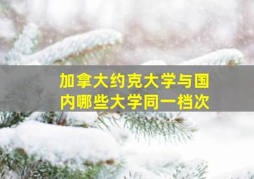 加拿大约克大学与国内哪些大学同一档次