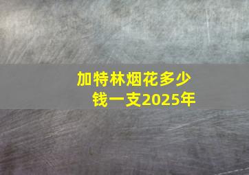 加特林烟花多少钱一支2025年