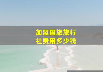 加盟国旅旅行社费用多少钱