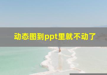 动态图到ppt里就不动了