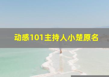 动感101主持人小楚原名