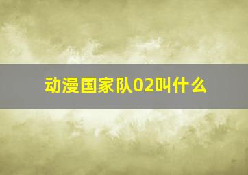 动漫国家队02叫什么