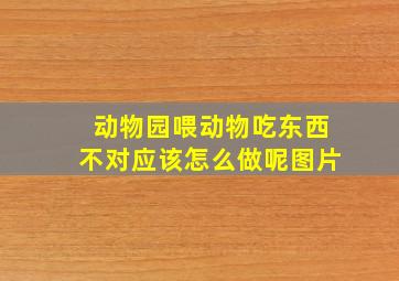 动物园喂动物吃东西不对应该怎么做呢图片