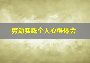 劳动实践个人心得体会