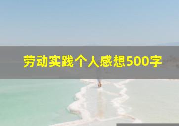 劳动实践个人感想500字