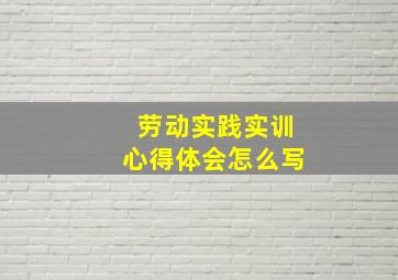 劳动实践实训心得体会怎么写