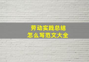 劳动实践总结怎么写范文大全