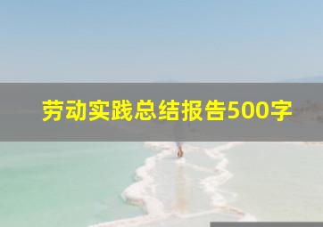 劳动实践总结报告500字