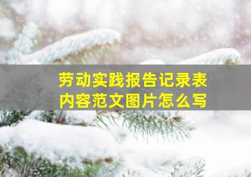 劳动实践报告记录表内容范文图片怎么写