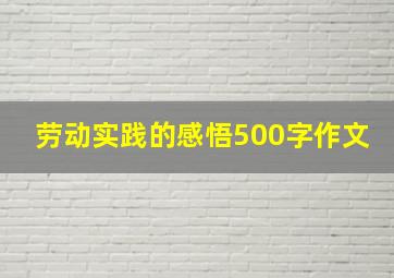 劳动实践的感悟500字作文