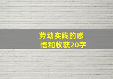 劳动实践的感悟和收获20字