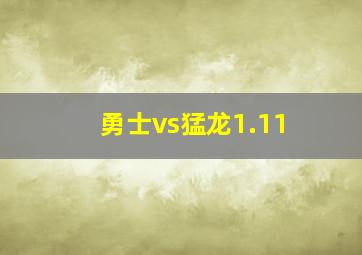 勇士vs猛龙1.11