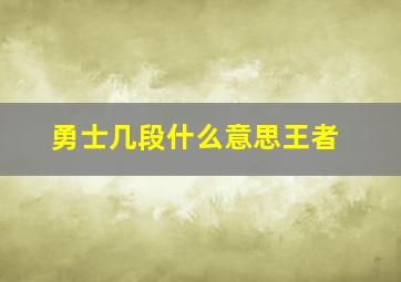 勇士几段什么意思王者