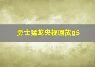 勇士猛龙央视回放g5