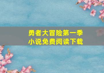 勇者大冒险第一季小说免费阅读下载