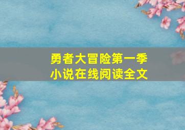 勇者大冒险第一季小说在线阅读全文