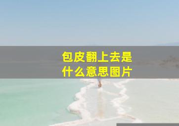 包皮翻上去是什么意思图片