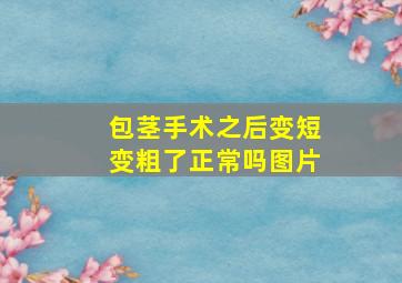 包茎手术之后变短变粗了正常吗图片