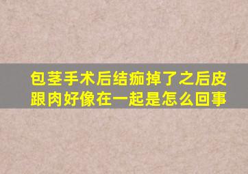 包茎手术后结痂掉了之后皮跟肉好像在一起是怎么回事