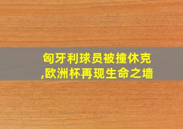 匈牙利球员被撞休克,欧洲杯再现生命之墙