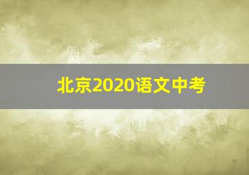 北京2020语文中考