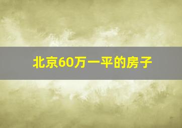 北京60万一平的房子