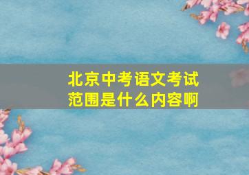 北京中考语文考试范围是什么内容啊