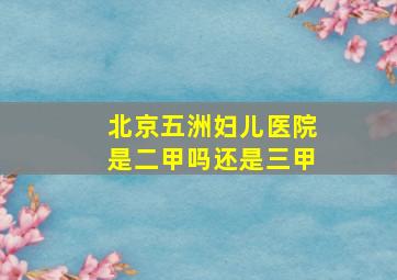 北京五洲妇儿医院是二甲吗还是三甲