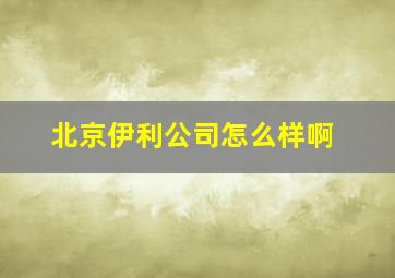 北京伊利公司怎么样啊