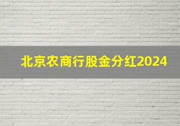 北京农商行股金分红2024