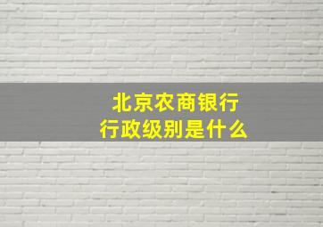 北京农商银行行政级别是什么