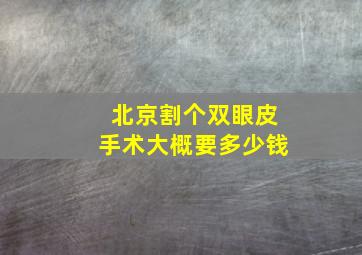 北京割个双眼皮手术大概要多少钱