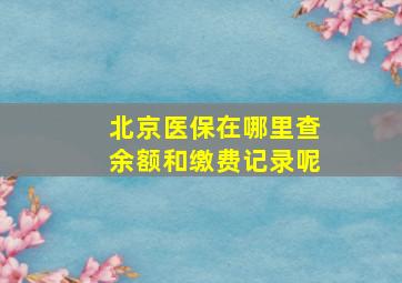 北京医保在哪里查余额和缴费记录呢