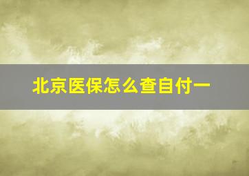 北京医保怎么查自付一