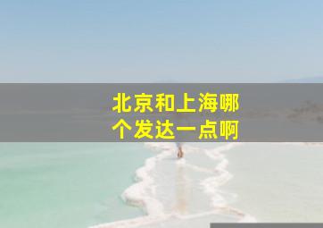 北京和上海哪个发达一点啊