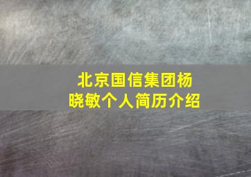 北京国信集团杨晓敏个人简历介绍