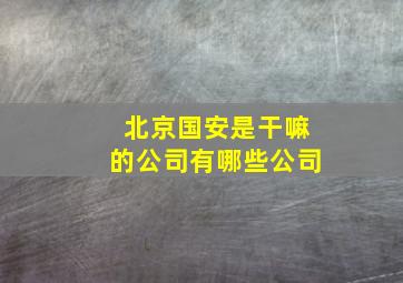 北京国安是干嘛的公司有哪些公司