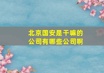 北京国安是干嘛的公司有哪些公司啊