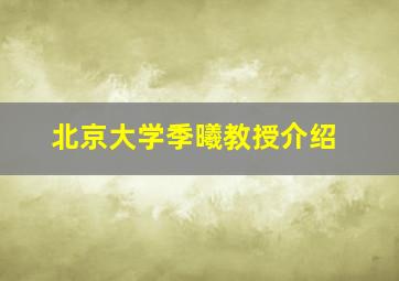 北京大学季曦教授介绍