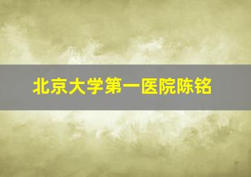 北京大学第一医院陈铭