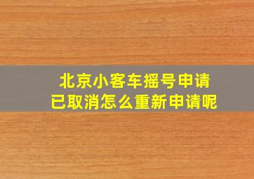 北京小客车摇号申请已取消怎么重新申请呢