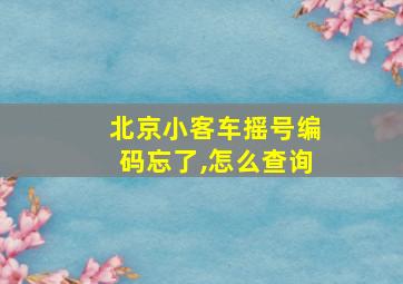 北京小客车摇号编码忘了,怎么查询