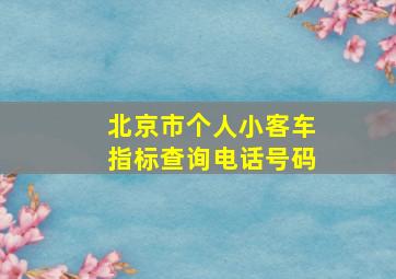 北京市个人小客车指标查询电话号码