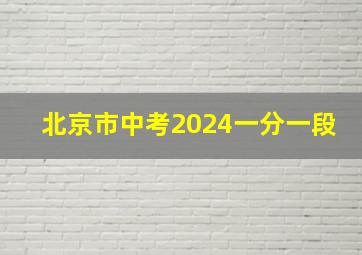 北京市中考2024一分一段