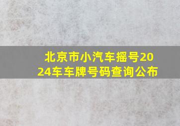 北京市小汽车摇号2024车车牌号码查询公布